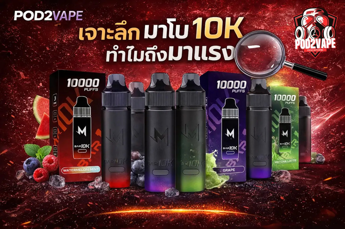 เจาะลึก พอต มาโบ 10k ตัวแรงในปีนี้ ที่ใครๆก็อยากลิ้มลอง